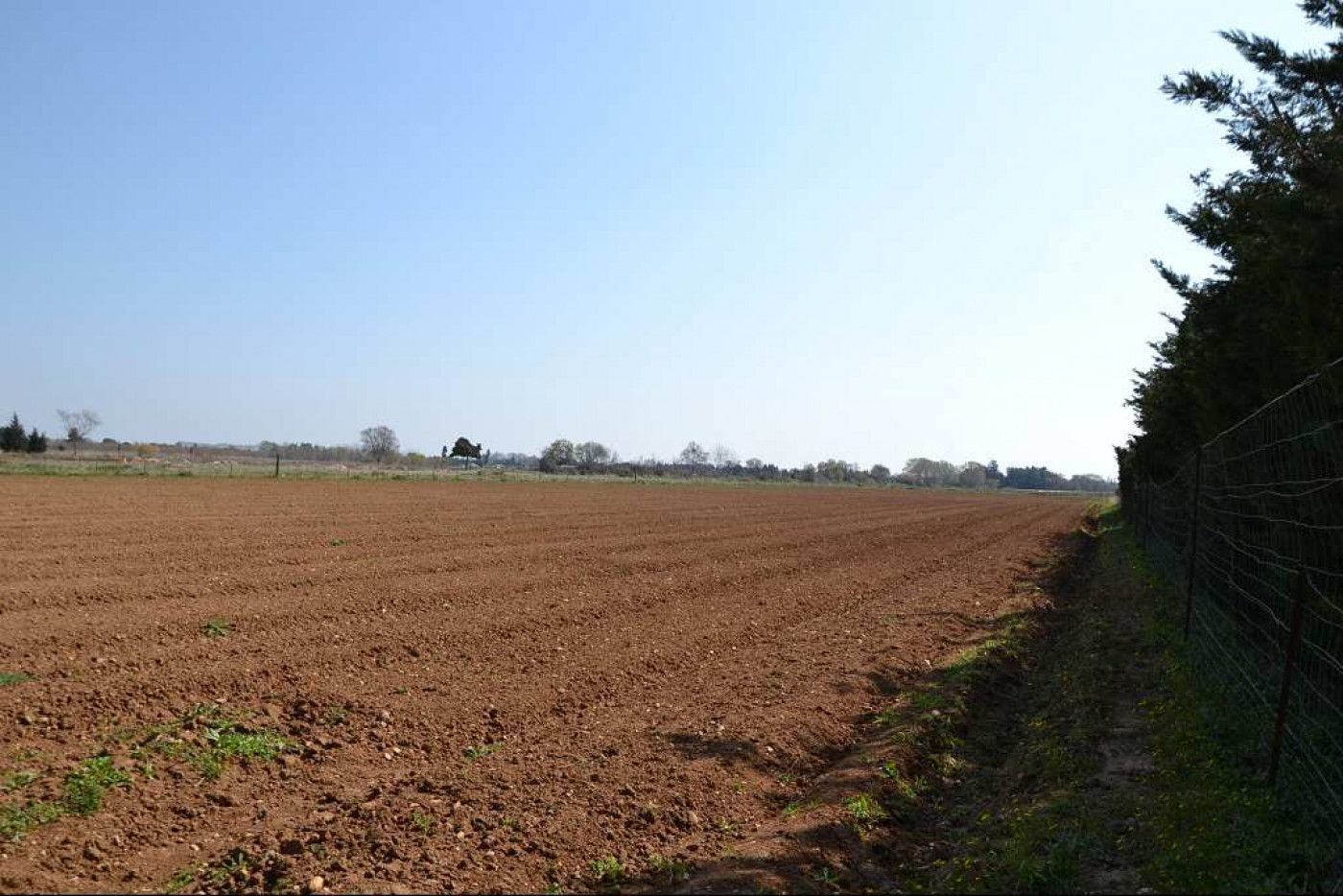 متر 3800 محفضة بالملاليين