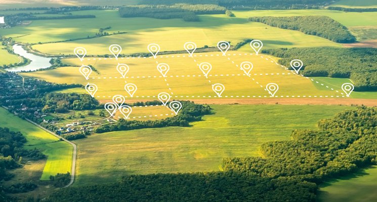 هكتاران ونصف بالقصر الصغير