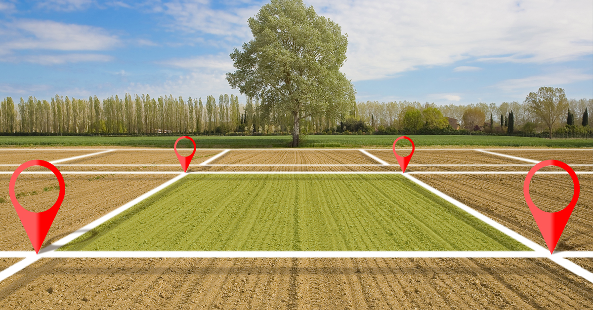 500 متر بحي الرميلات