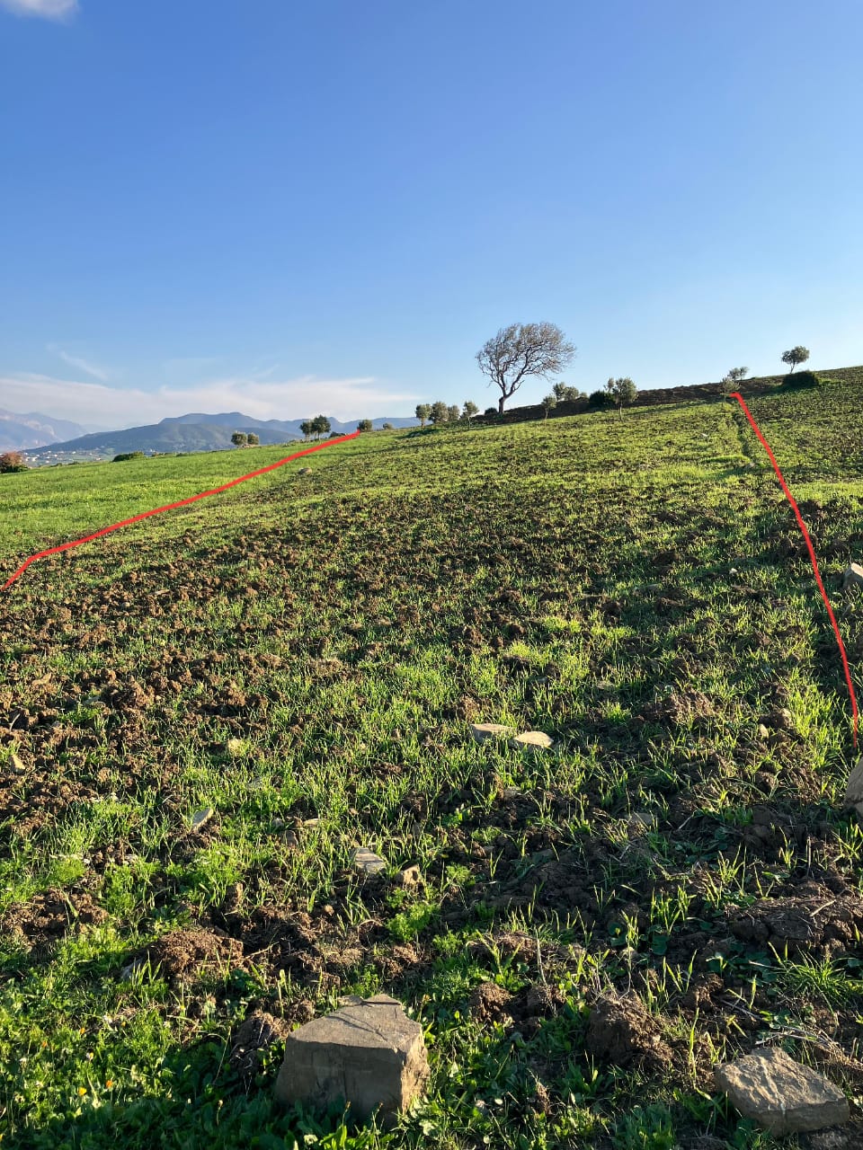 أرض بسوق القديم