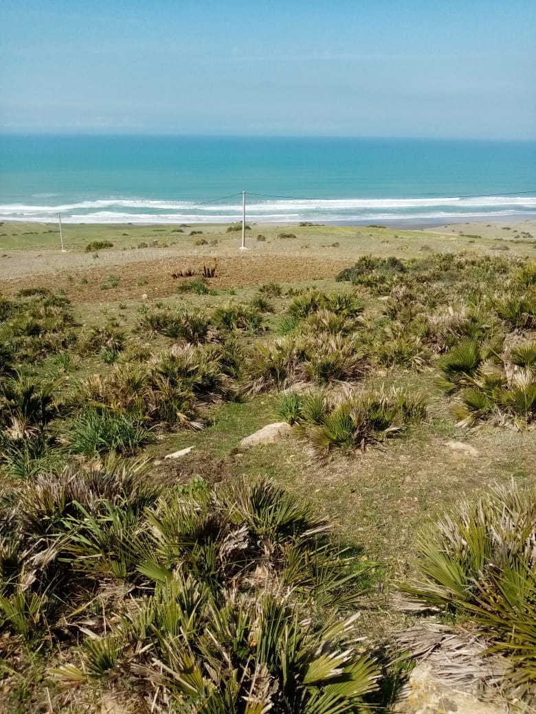 أرض  على البحر بأصيلا منطقة سياحية