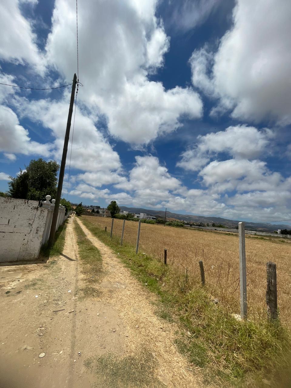 فيرما للبيع بجوار الطريق الرئيسية بالملاليين